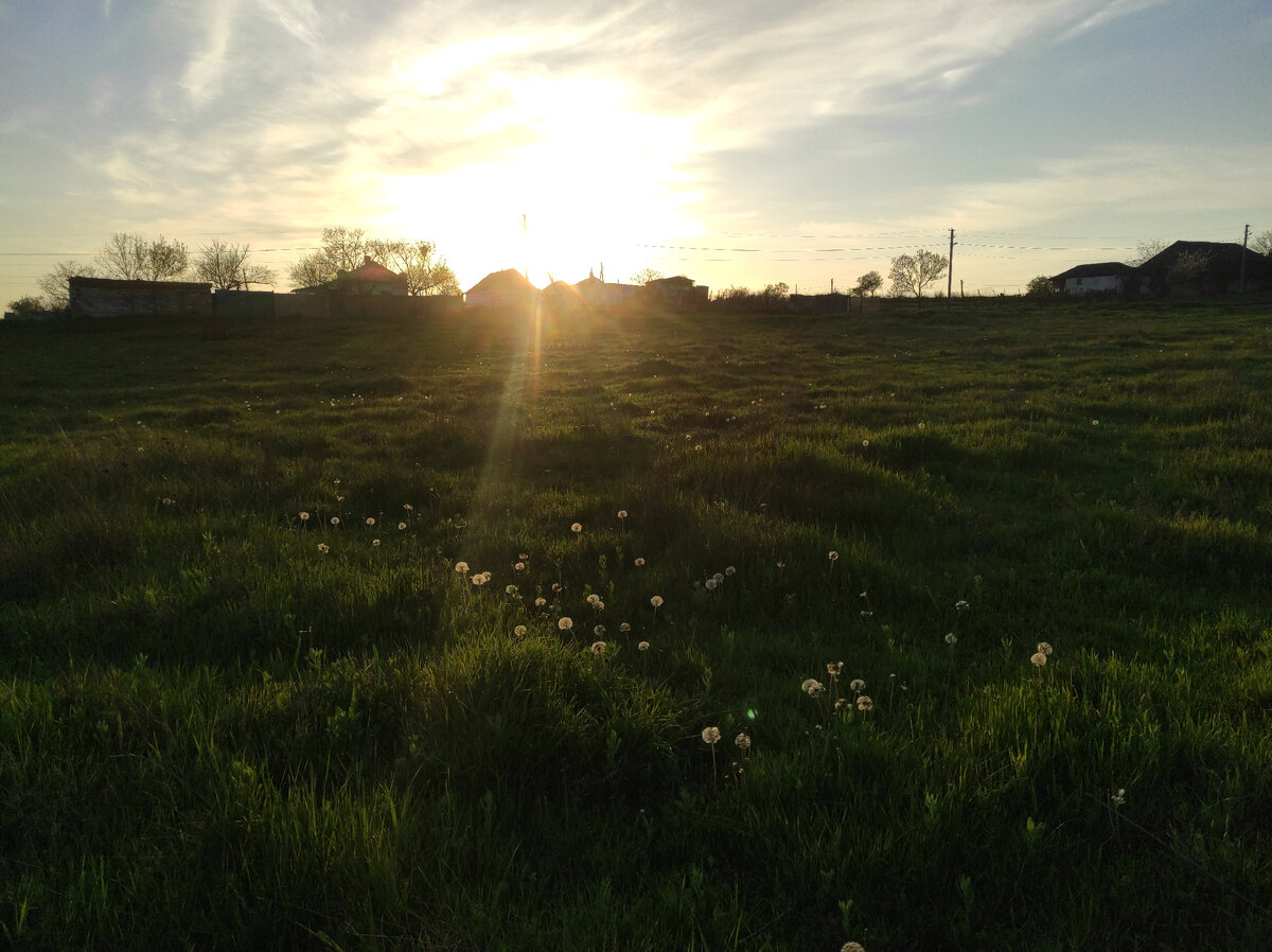 Прогулка в степи