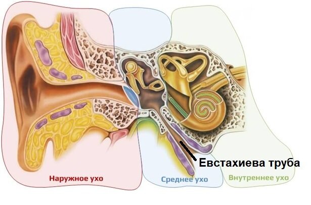 Почему в самолёте закладывает уши