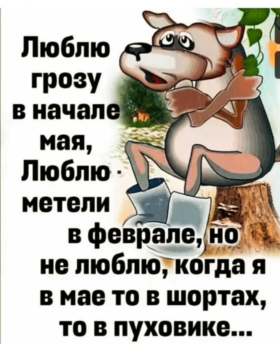 Кто о чём,а я про погоду и торговлю... | Лариса Васильева@,,Lissa,, ,  истории из жизни ИПэшника . | Дзен