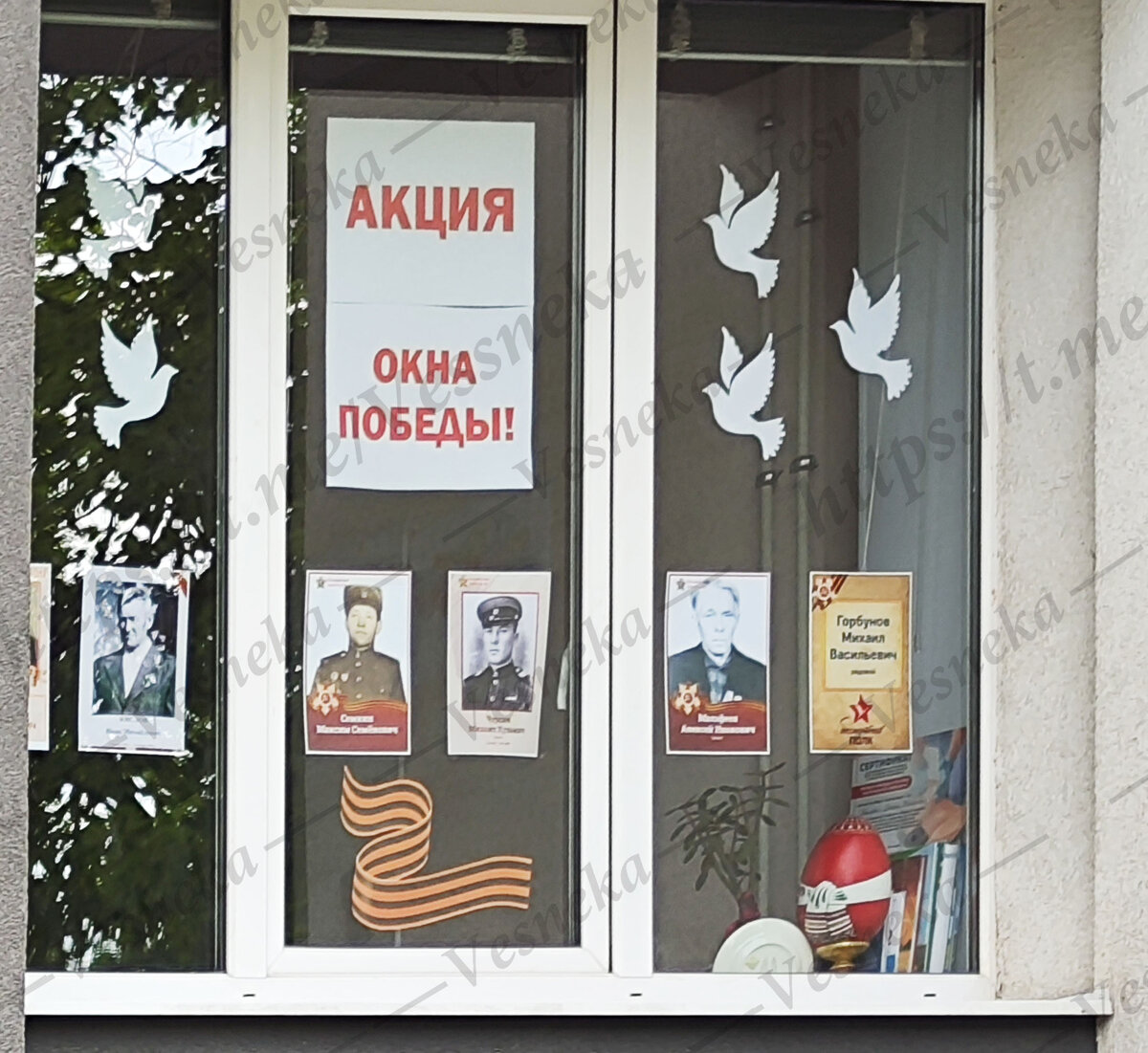 Фото автора