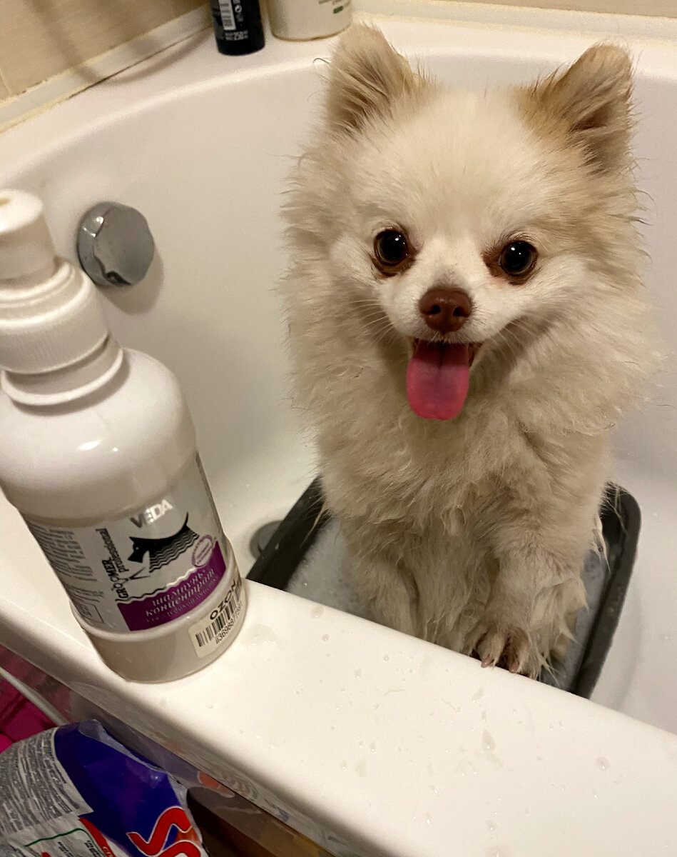 Шампунь для глубокой очистки GROOMER PROFESSIONAL от Veda