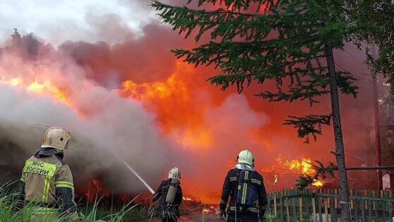    В России за сутки потушили 95 природных пожаров Даниил Шалонников