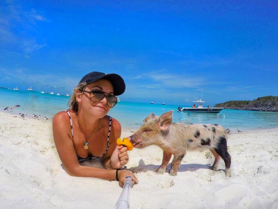 Девушка и кабанчик. Фото из Яндекс картинки