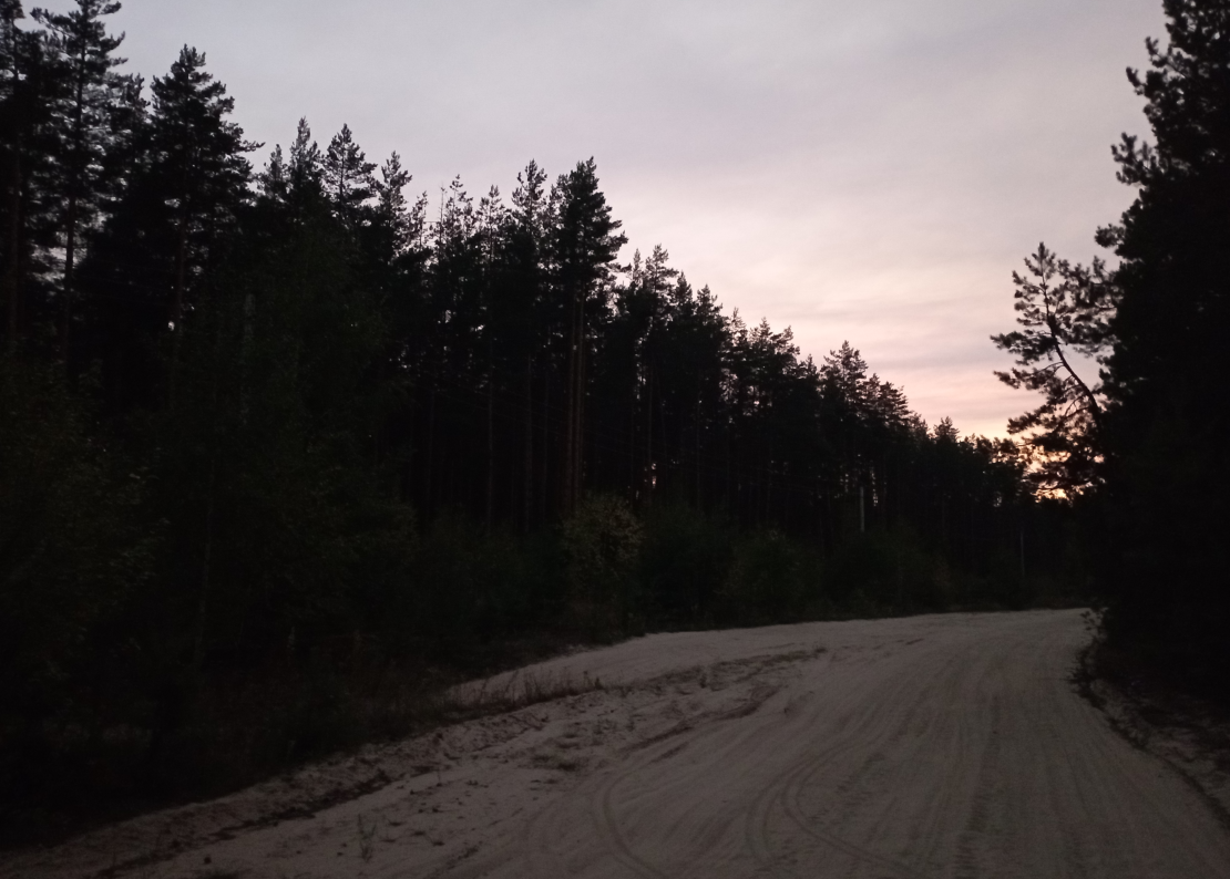 Не злите ведьму 27. Фея для демона - юлия зимина. Не злите ведьму 27. Золотко и дракон или #не_зли_ведьму читать. Золотко и дракон, или не зли ведьму ирмата арьяр.