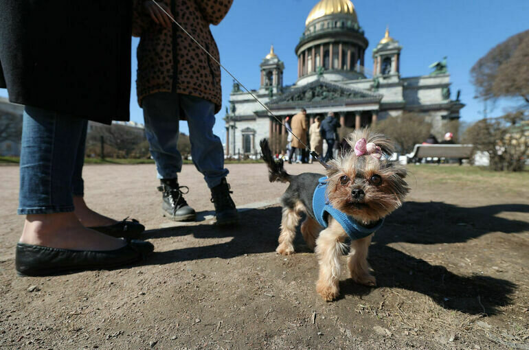   Тимур Ханов/ПГ