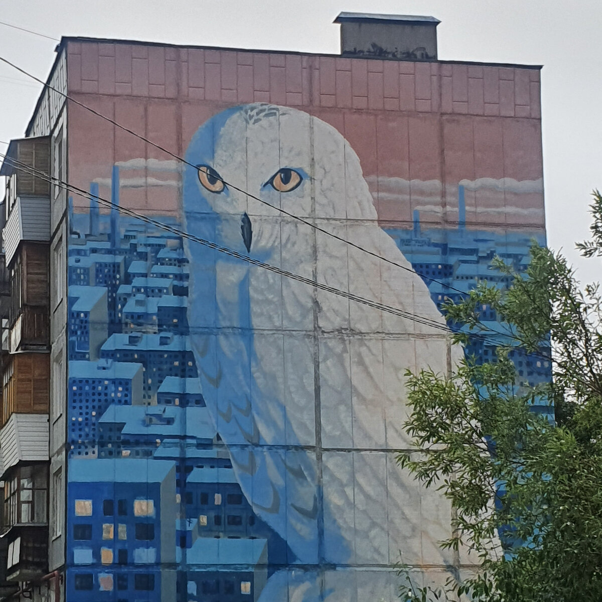 Стрит арт Северодвинска.