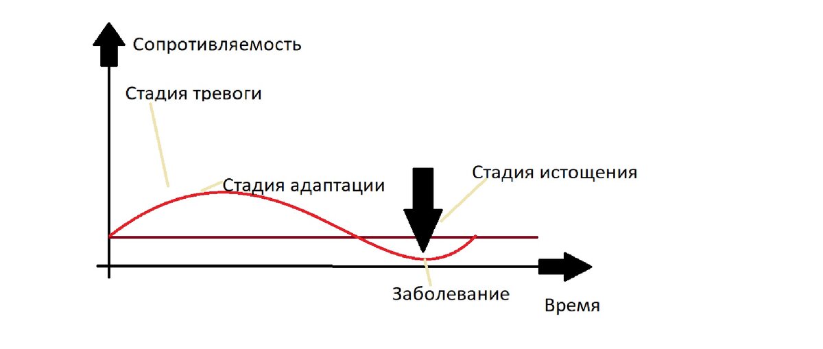 Механизм развития стресса