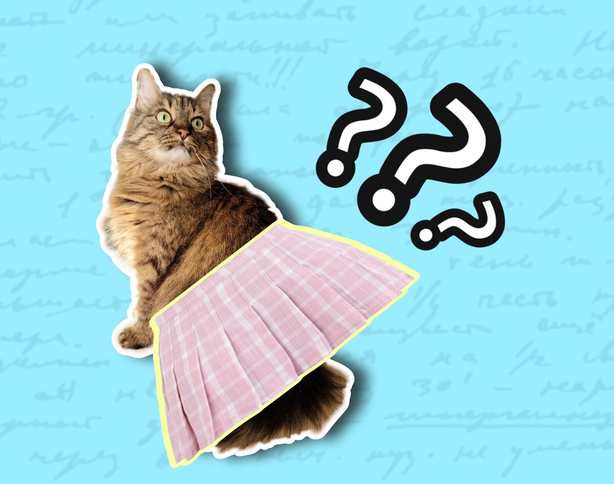 Моя пушистая помощница