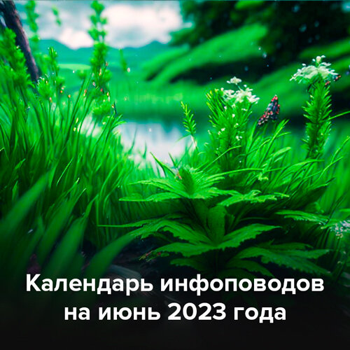 Календарь инфоповодов на июнь 2023 года | Денис Каримов | Дзен