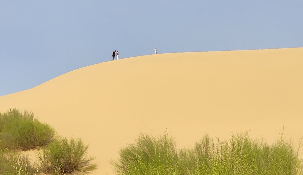Сарыкум переводится как Желтые пески. В некоторых местах он (или они, не знаю как правильнее) очень "фотогеничен".