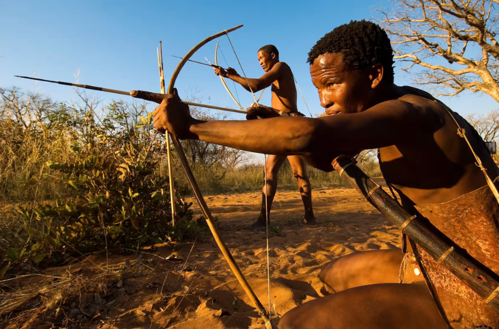 Охотничьи племена бушмены Африка