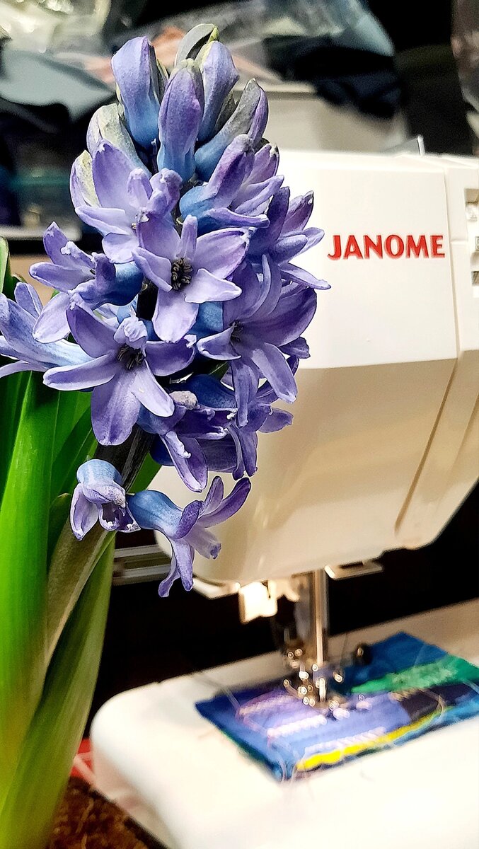 Моя помощница JANOME JUNO 523