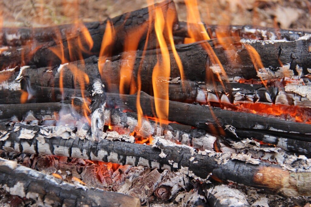 Как разжечь огонь: специальные средства для розжига