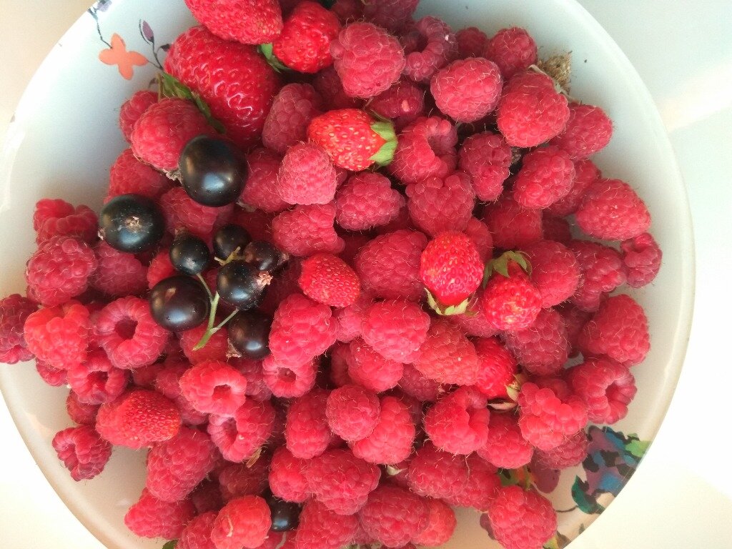 Вместо сладкого – ягоды.