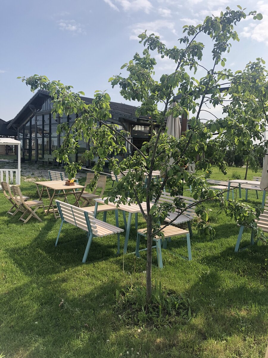 Лето и столики на улице