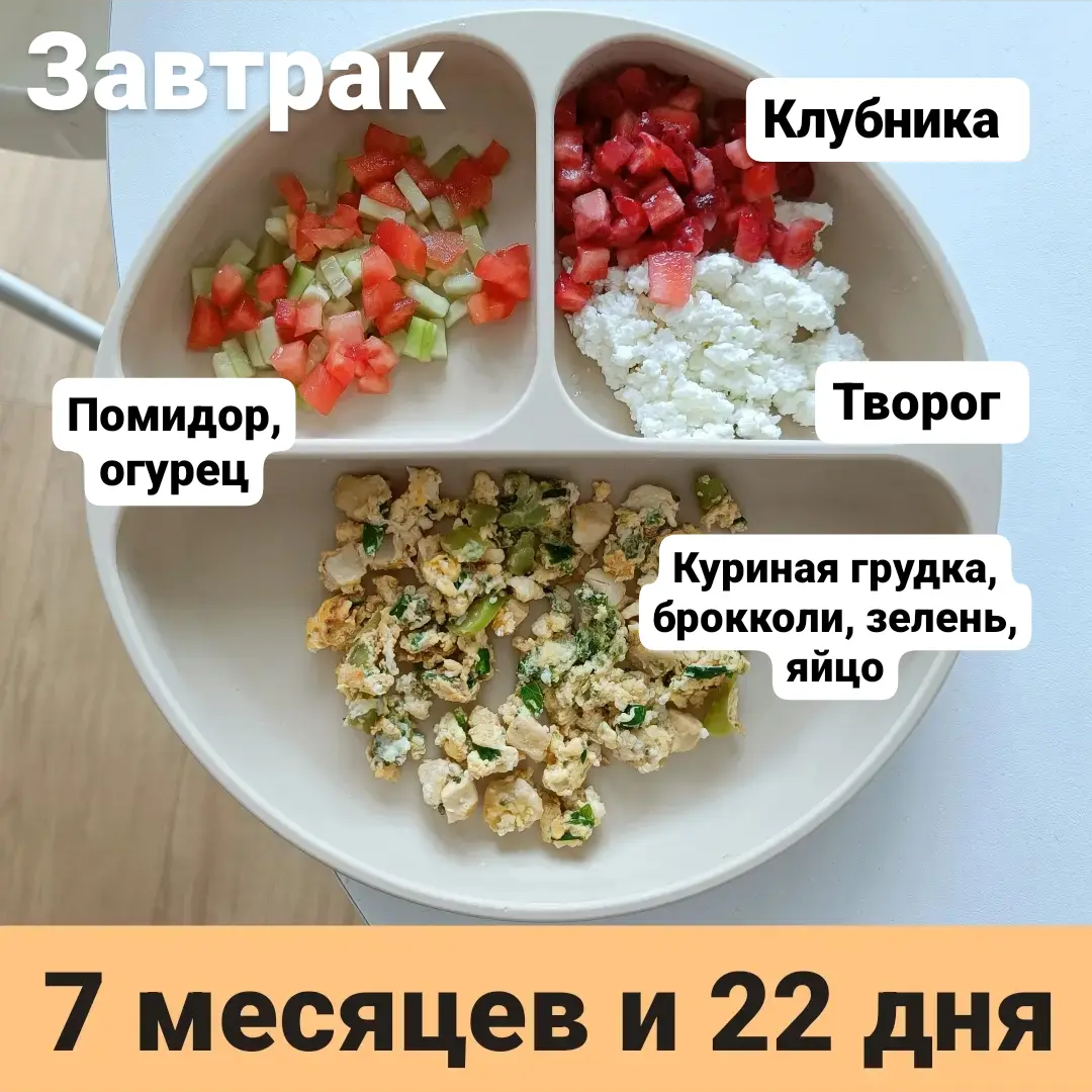 Пример тарелки в 7 месяцев 