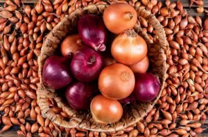    Фото: freepik.com Анна Полякова