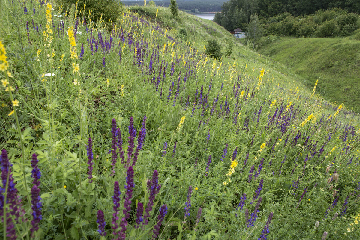 ФОТО: NIKOLAY GYNGAZOV/GLOBAL LOOK PRESS