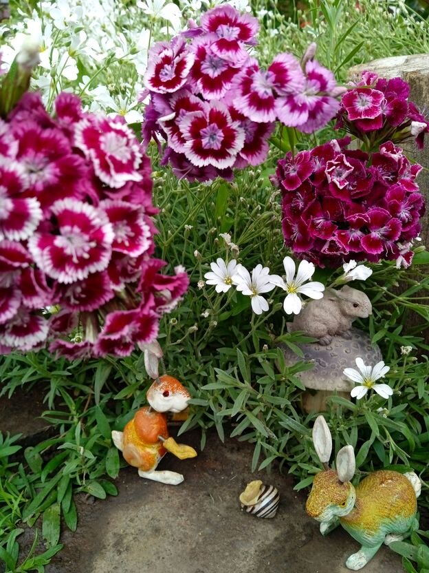 Собственное фото автора от 25 мая 2023 г. ЛЕТО! ЦВЕТОЧКИ! ЗАЙЧИКИ! И УЛИТКА!