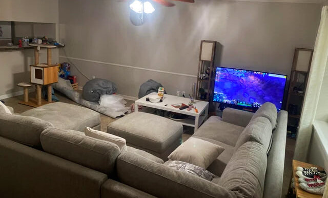 фотография взята из открытых источников