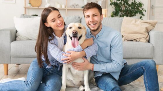    Кинолог развенчал миф о том, что собака выбирает только одного хозяина Анна Оленькова