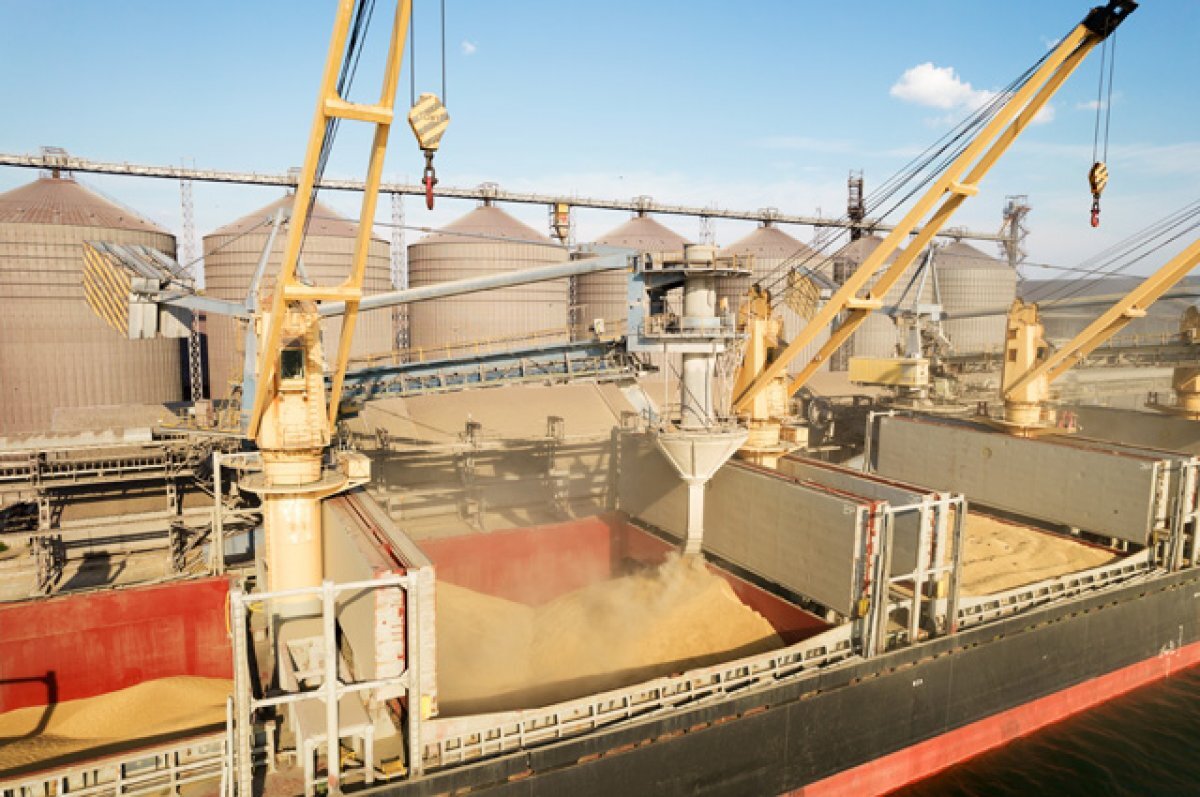    Принуждение к сделке. Зачем Россия подкручивает «зерновую инициативу»