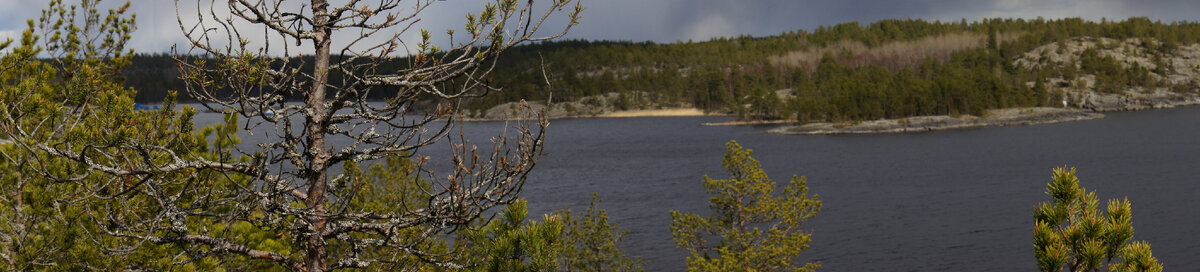 о. Койонсаари