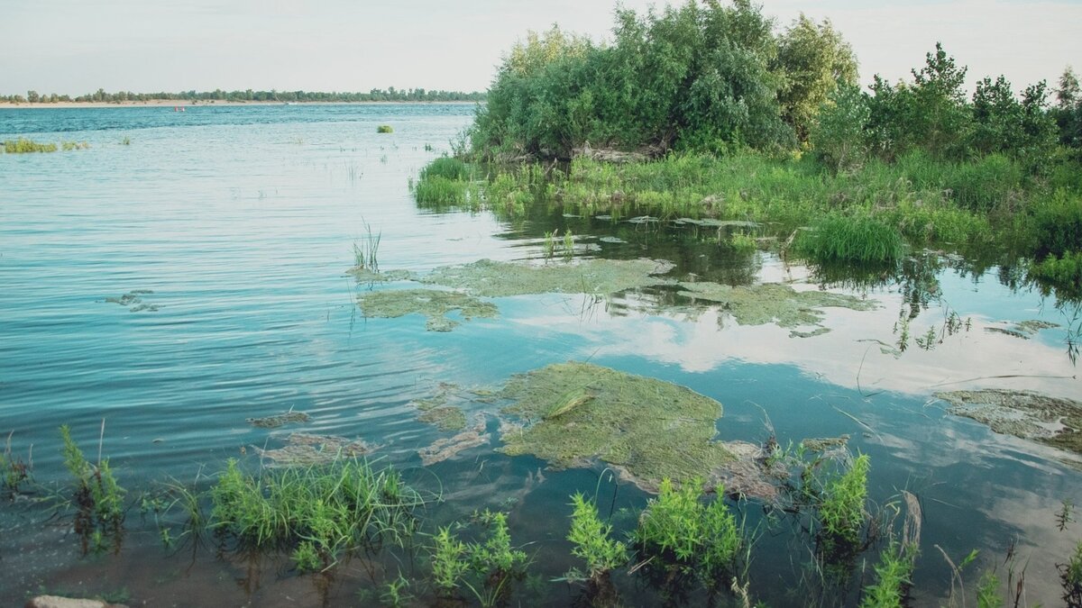     В Волгоградской области водоемы начали обрабатывать от комаров. В общей сложности специалисты проведут работы на 164 объектах, сообщает облздрав.