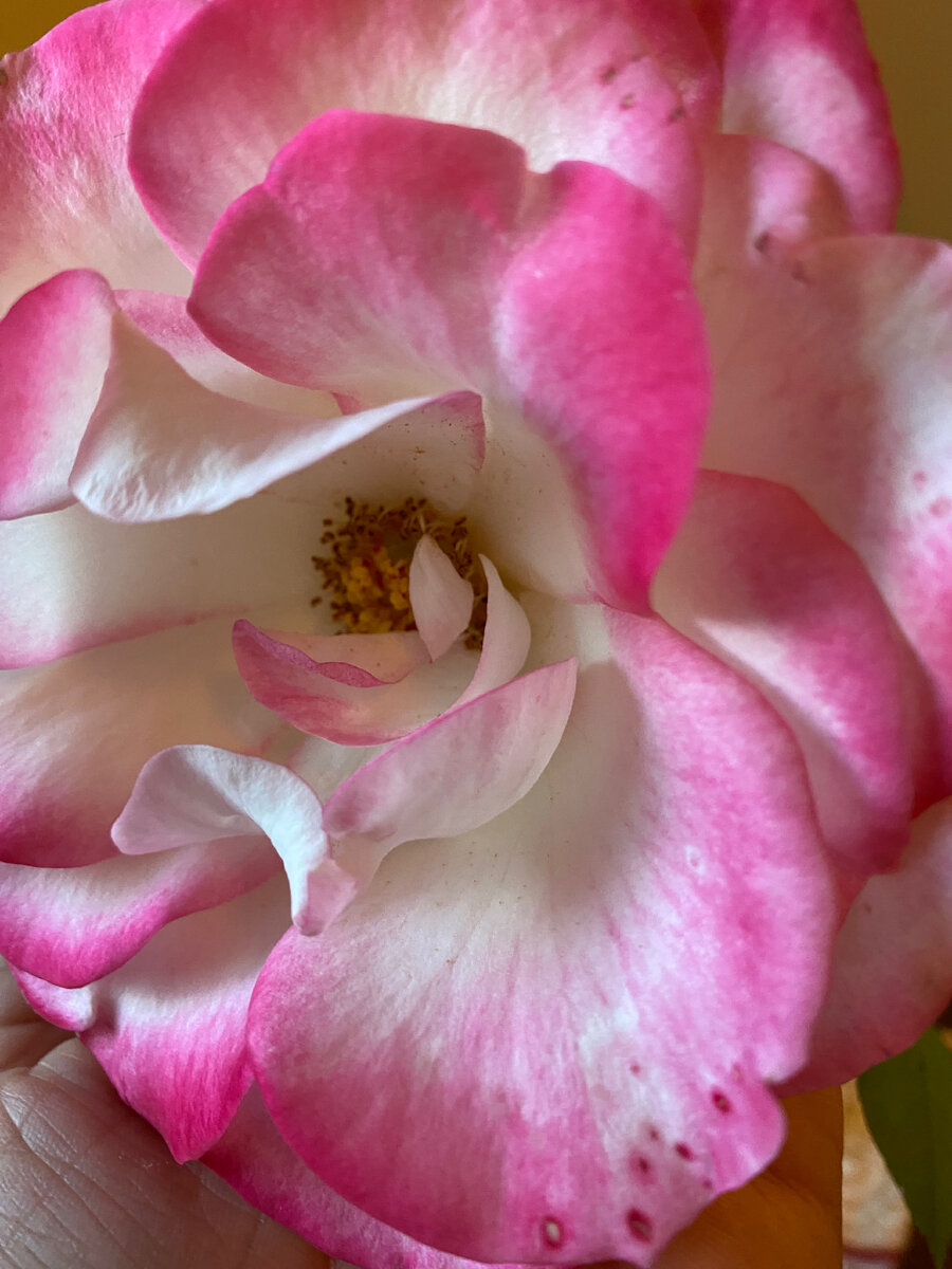 Контент, скучный как мои фотки 😅