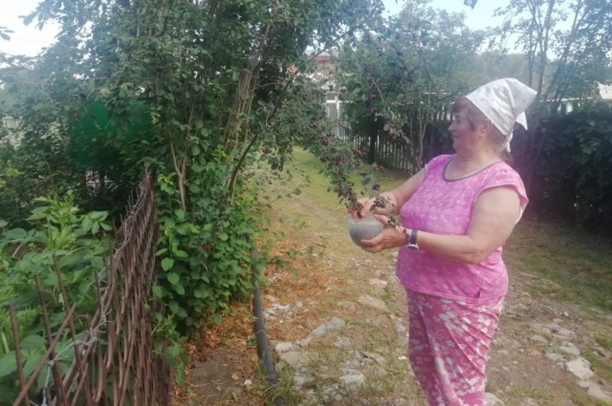    Власти Татарстана планируют освободить дачников от налога