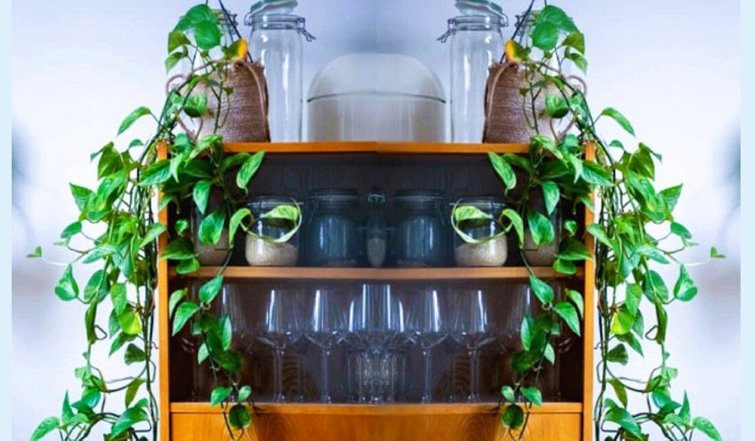 Как эффективно увлажнить воздух в доме