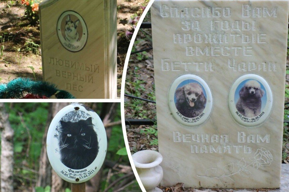    Новосибирцы провожают своих питомцев в последний путь. Фото: Артем МАХУТОВ