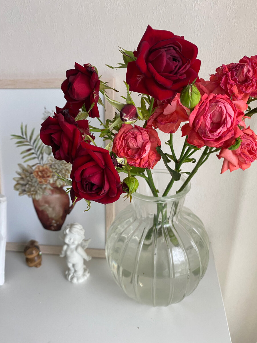 Вещи,которые приносят мне радость)