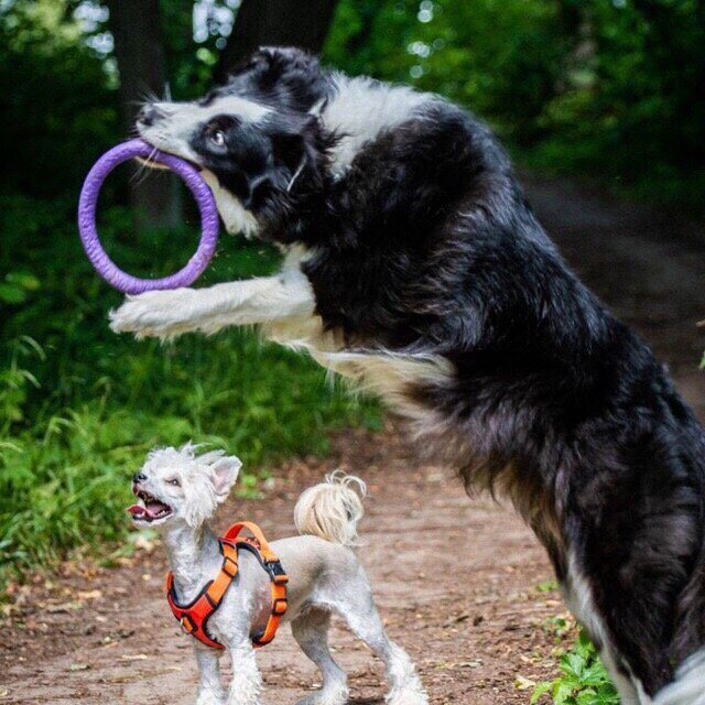 Баста поймала пулер