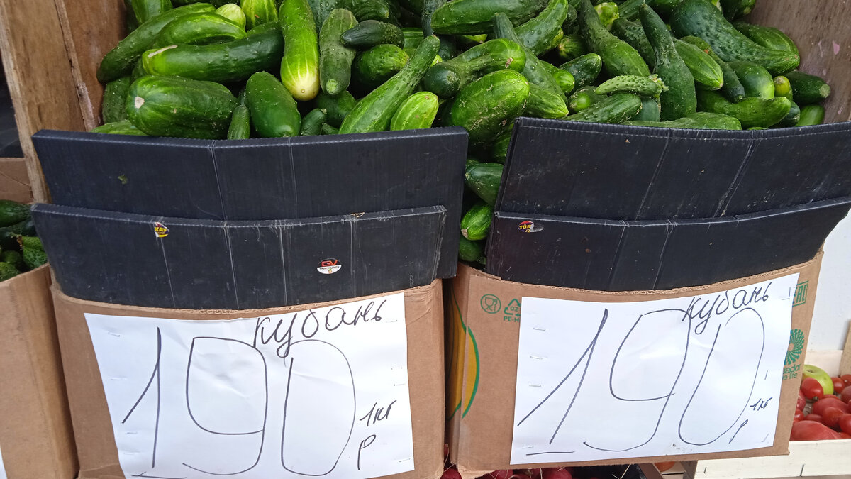 Огурцы Кубань