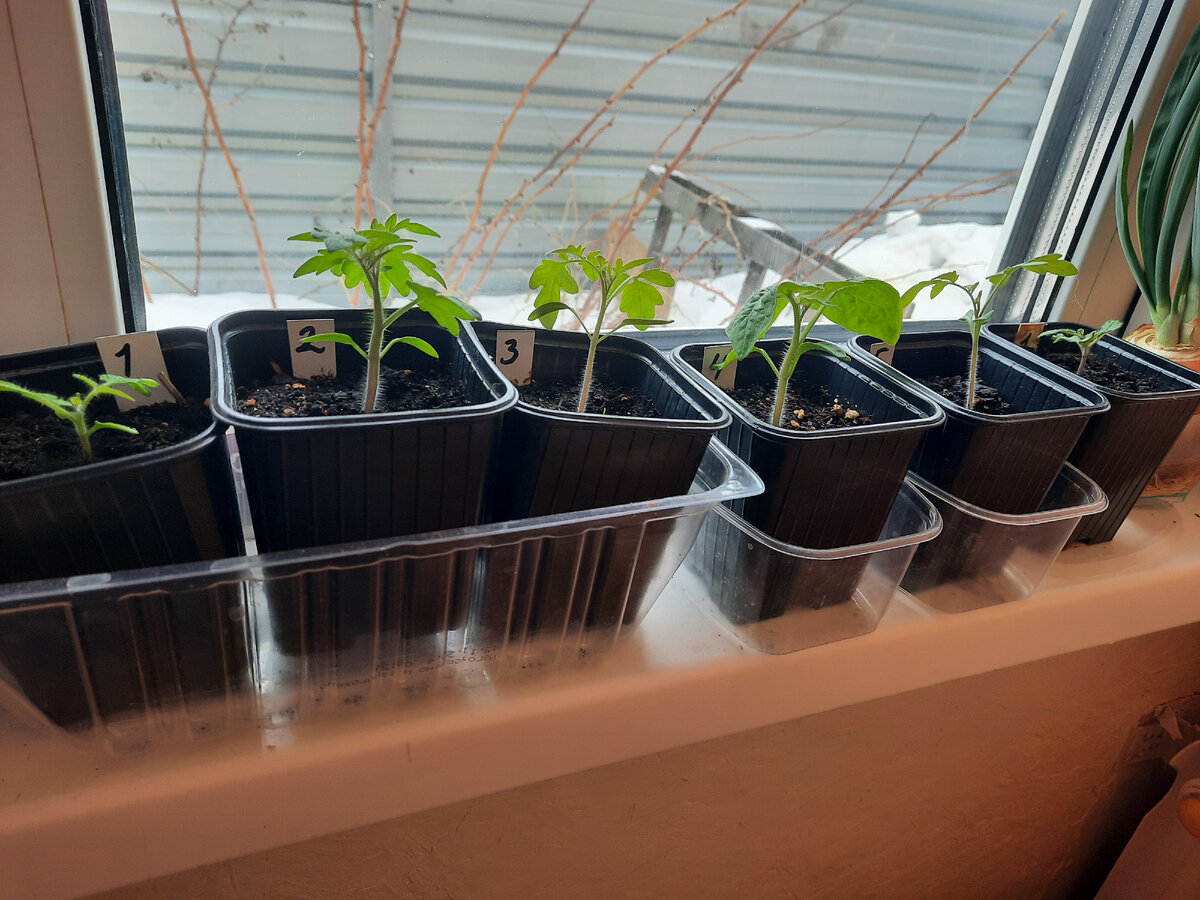 Фото от 21 марта