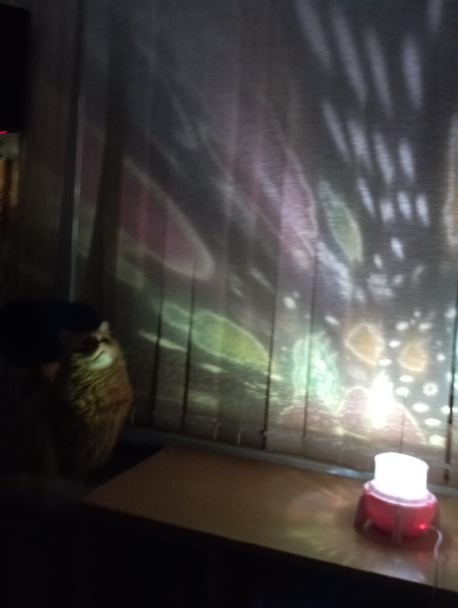 Личное фото автора. 