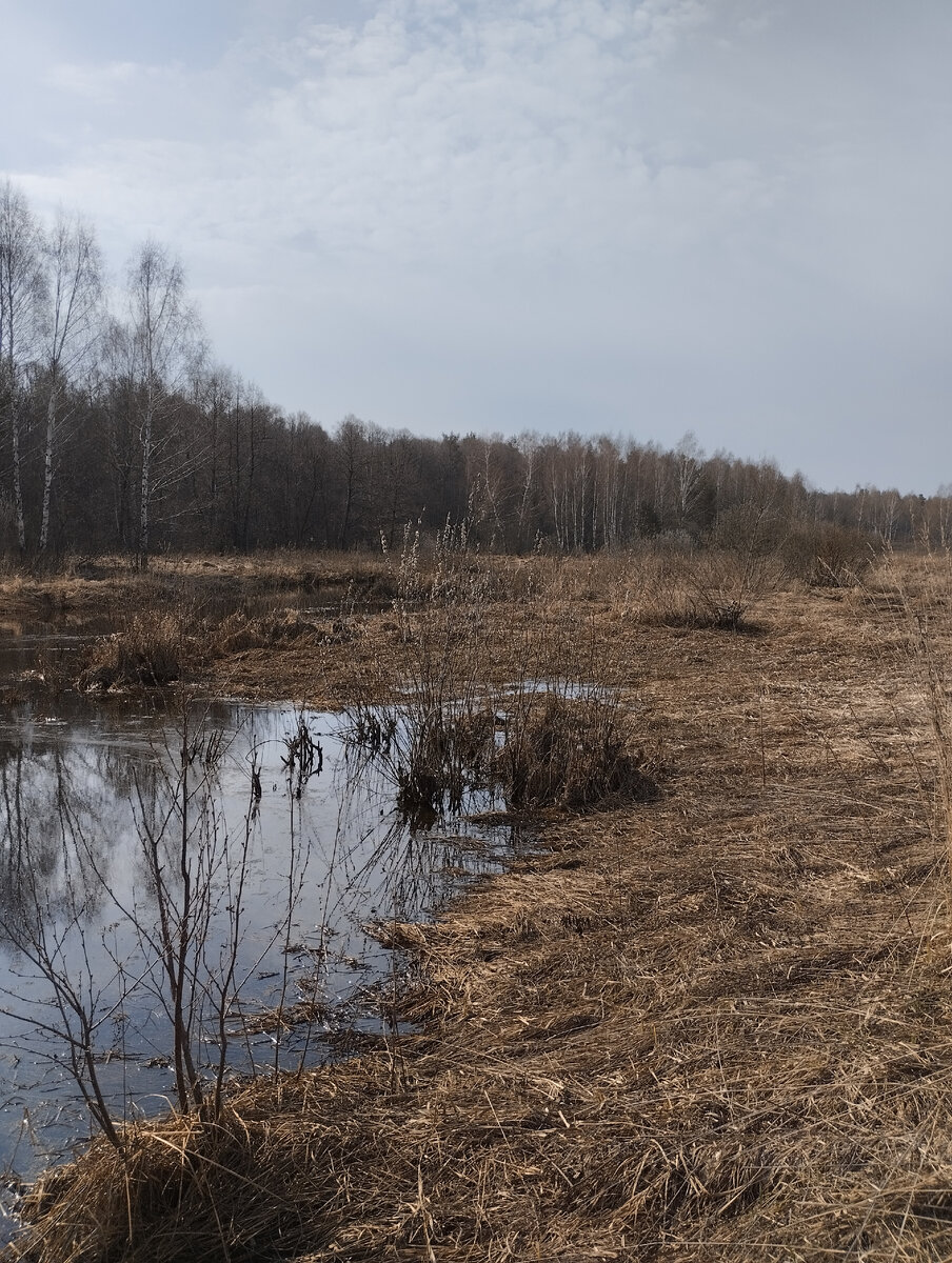 Воды много, но берега на удивление сухие и твердые, можно подходить к самой воде