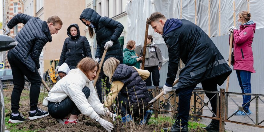    Жители Петербурга помогают сажать деревья и кустарники.vk.com/kb_spb