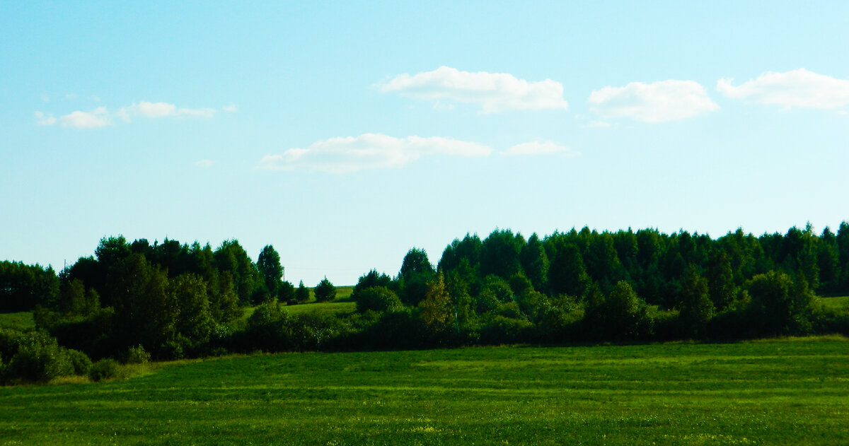 фото автора канала 