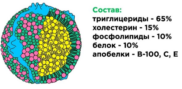 Картинка из открытых источников