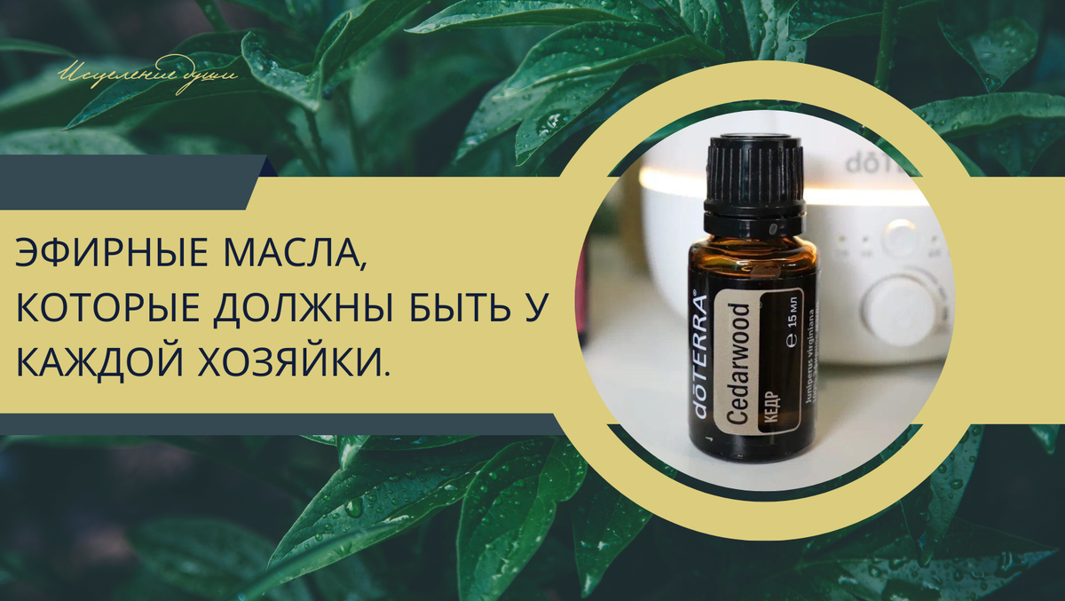 Эфирные масла, которые должны быть у каждой хозяйки. | ИСЦЕЛЕНИЕ ДУШИ ...
