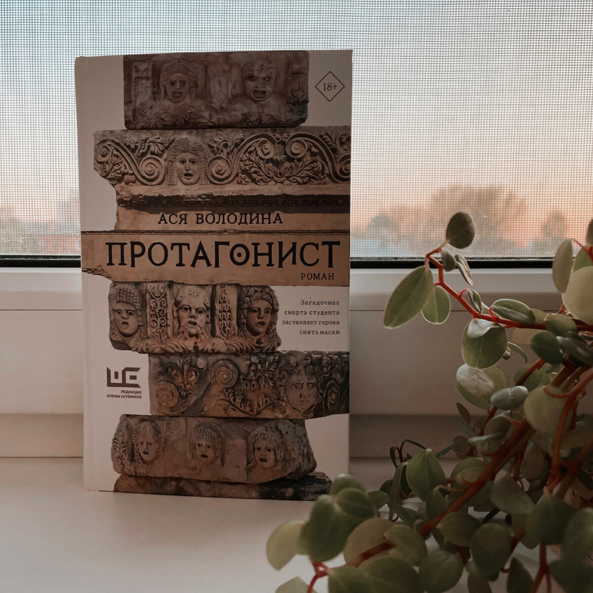 протагонист книга. ася володина протагонист аудиокнига. протагонист книга. протагонист книга. протагонист ася володина обложка книги.