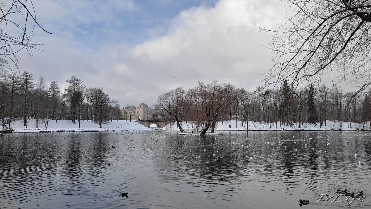 Гатчинский парк. 05.03.2023 г.