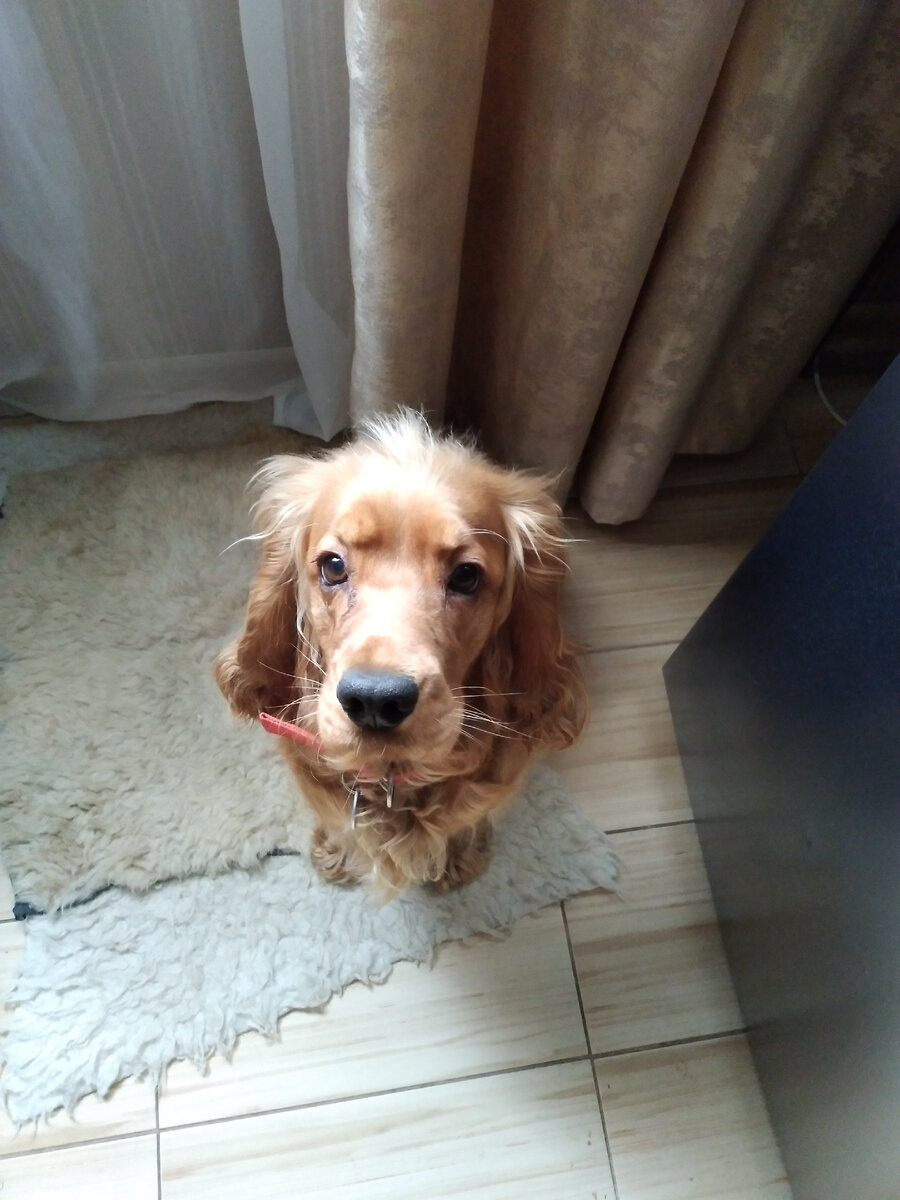 Сидит, ждёт.