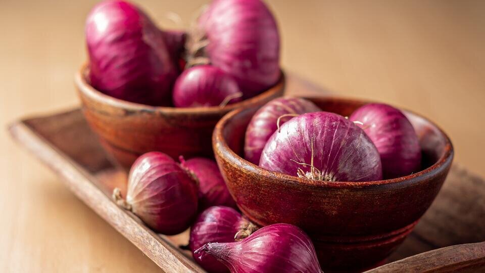 Фото: © Unsplash