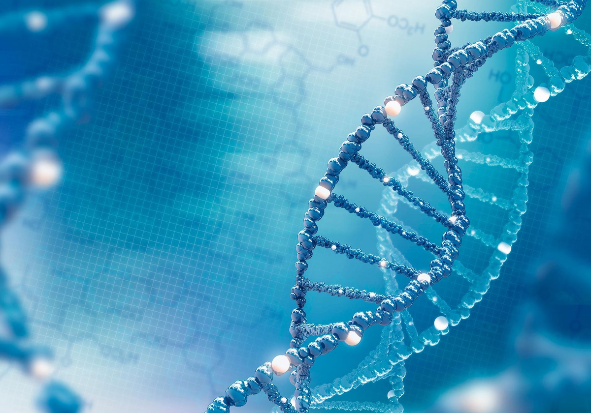 Фото с сайта proprikol.ru