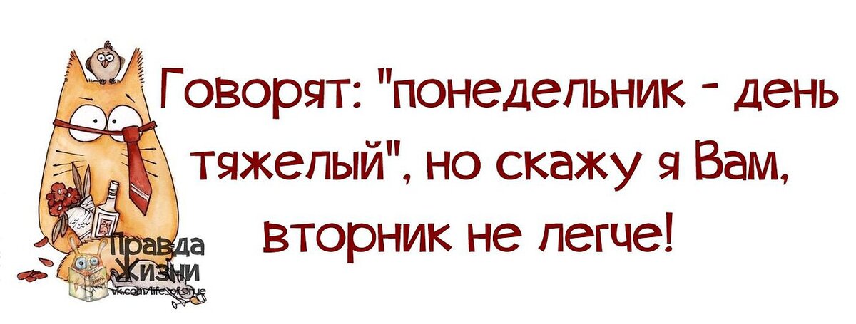 И вроде все в порядке в этот вечер и на неделю план уже