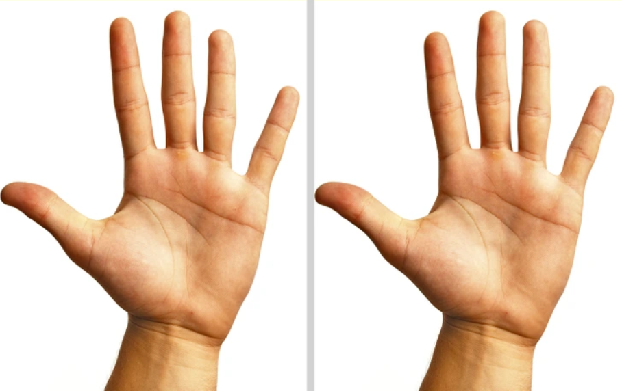 И левая и правая рука одинаково. Средний и безымянный палец. Указательный палец безымянный палец. Большой указательный и средний палец. Указательный палец длиннее.