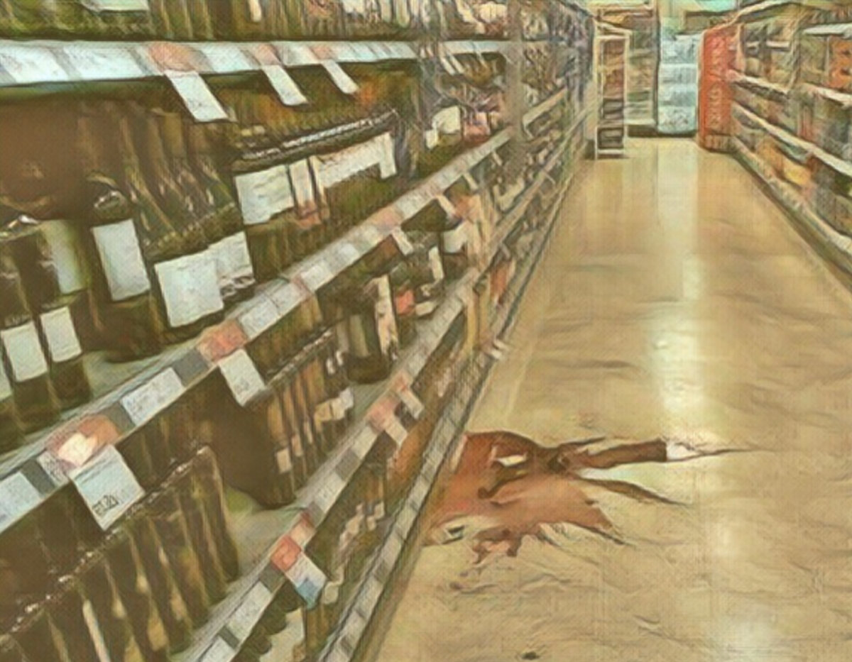 Фото Яндекс картинки открытый источник